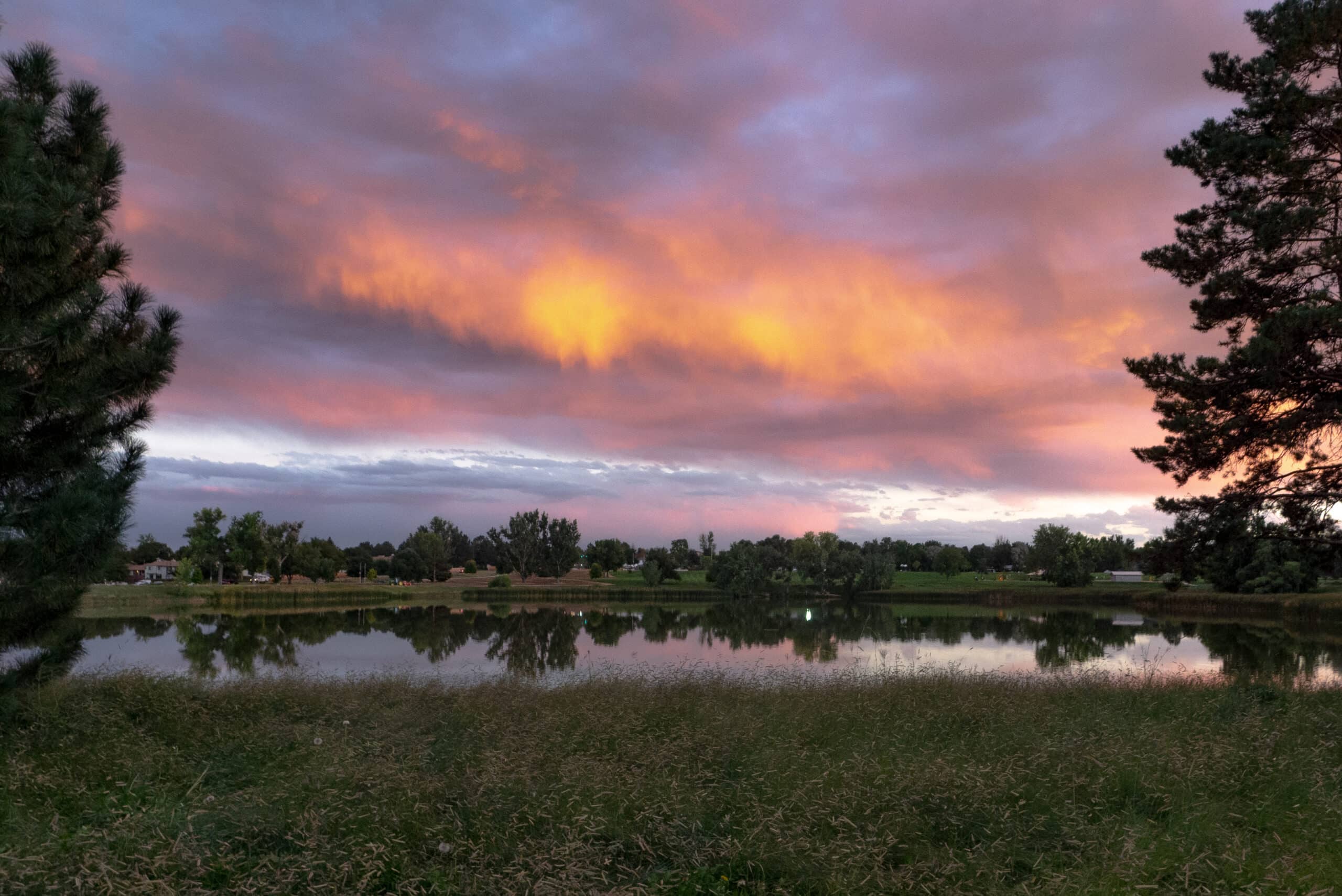A tranquil landscape featuring a calm lake reflecting the colorful sky, which includes shades of orange and purple. Lush green trees line the shore, and tall grass is visible in the foreground, creating a peaceful natural setting.