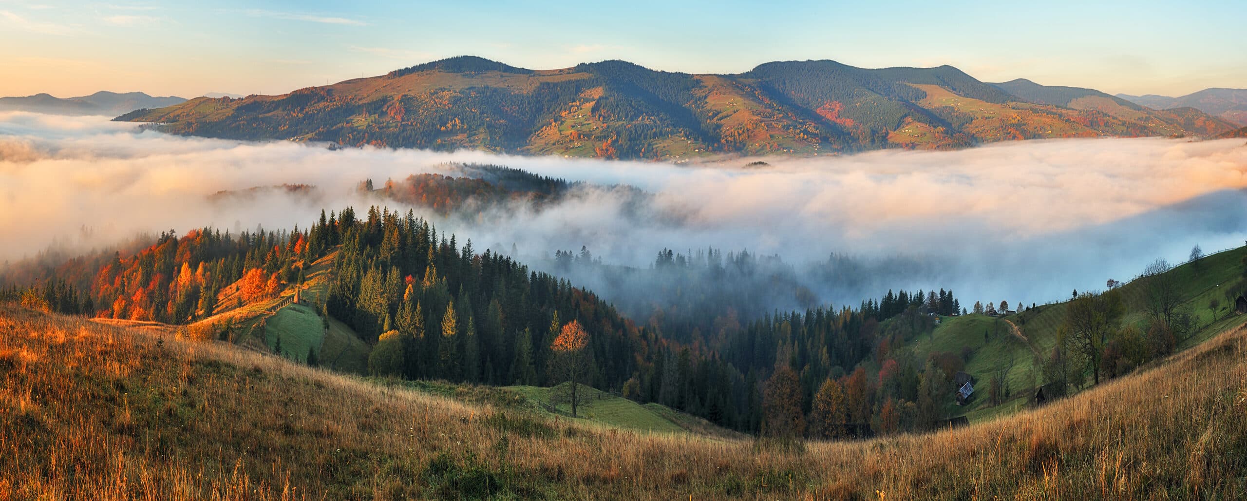 A panoramic view of rolling hills and mountains covered in mist at sunrise. Colored trees with autumn foliage are present in the foreground, while clouds blanket the valley below. The scene conveys a serene natural landscape illuminated by soft morning light.